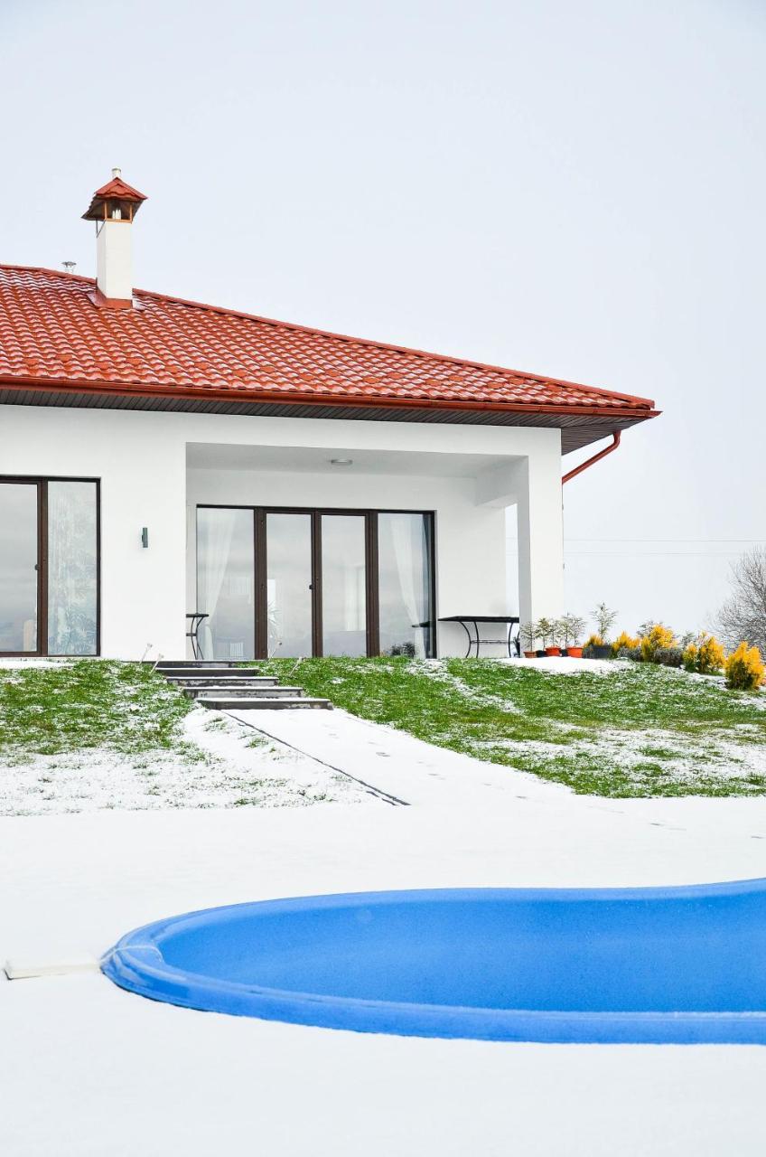 Starunya Krayka House 빌라 외부 사진